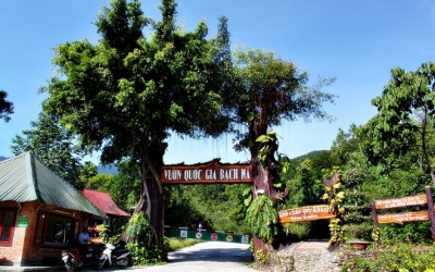 BACH MA NATIONAL PARK DAILY TOUR